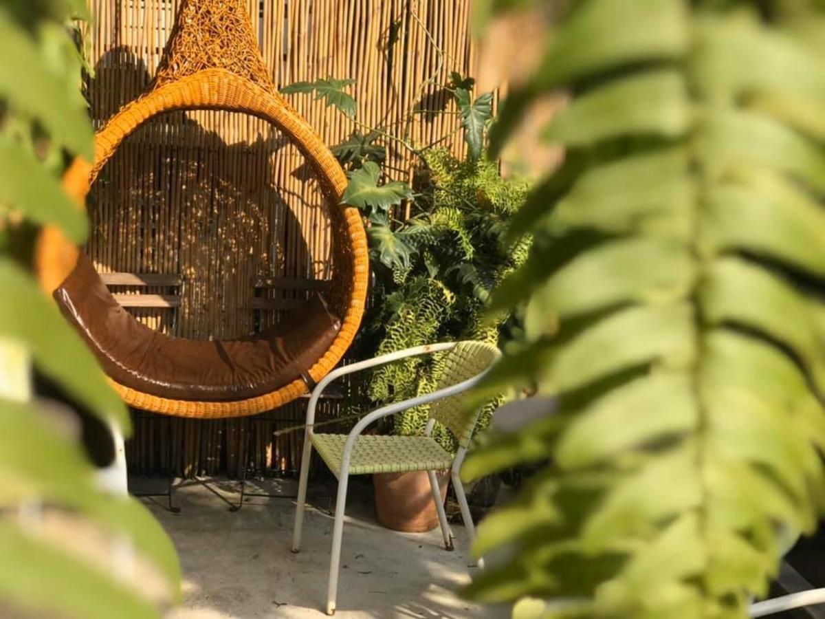 بيت شباب ذا بيكا دامنون سادواك المظهر الخارجي الصورة